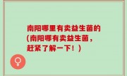 南阳哪里有卖益生菌的(南阳哪有卖益生菌，赶紧了解一下！)