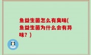 鱼益生菌怎么有臭味(鱼益生菌为什么会有异味？)