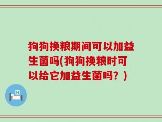 狗狗换粮期间可以加益生菌吗(狗狗换粮时可以给它加益生菌吗？)