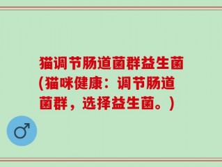 猫调节肠道菌群益生菌(猫咪健康：调节肠道菌群，选择益生菌。)