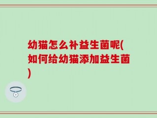 幼猫怎么补益生菌呢(如何给幼猫添加益生菌)