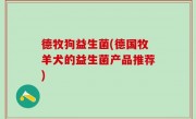 德牧狗益生菌(德国牧羊犬的益生菌产品推荐)