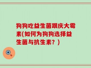 狗狗吃益生菌跟庆大霉素(如何为狗狗选择益生菌与抗生素？)