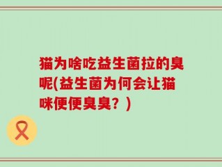 猫为啥吃益生菌拉的臭呢(益生菌为何会让猫咪便便臭臭？)