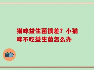 猫咪益生菌很差？小猫咪不吃益生菌怎么办
