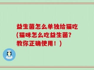 益生菌怎么单独给猫吃(猫咪怎么吃益生菌？教你正确使用！)