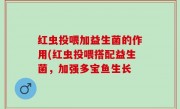 红虫投喂加益生菌的作用(红虫投喂搭配益生菌，加强多宝鱼生长