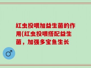 红虫投喂加益生菌的作用(红虫投喂搭配益生菌，加强多宝鱼生长