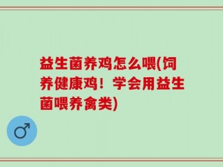 益生菌养鸡怎么喂(饲养健康鸡！学会用益生菌喂养禽类)