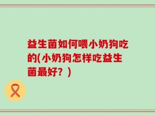 益生菌如何喂小奶狗吃的(小奶狗怎样吃益生菌最好？)