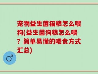宠物益生菌猫粮怎么喂狗(益生菌狗粮怎么喂？简单易懂的喂食方式汇总)