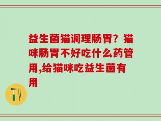 益生菌猫调理肠胃？猫咪肠胃不好吃什么药管用,给猫咪吃益生菌有用