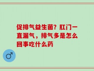 促排气益生菌？肛门一直漏气，排气多是怎么回事吃什么药