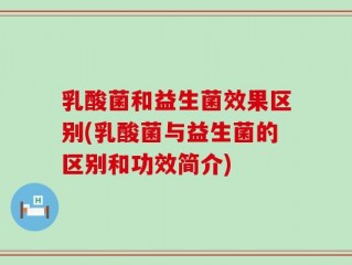 乳酸菌和益生菌效果区别(乳酸菌与益生菌的区别和功效简介)