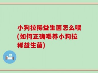 小狗拉稀益生菌怎么喂(如何正确喂养小狗拉稀益生菌)
