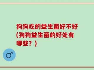 狗狗吃的益生菌好不好(狗狗益生菌的好处有哪些？)