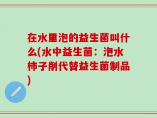 在水里泡的益生菌叫什么(水中益生菌：泡水柿子削代替益生菌制品)