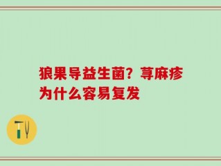 狼果导益生菌？荨麻疹为什么容易复发