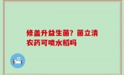 修盖升益生菌？菌立清农药可喷水稻吗