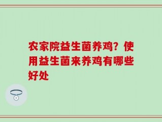 农家院益生菌养鸡？使用益生菌来养鸡有哪些好处