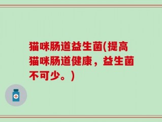 猫咪肠道益生菌(提高猫咪肠道健康，益生菌不可少。)