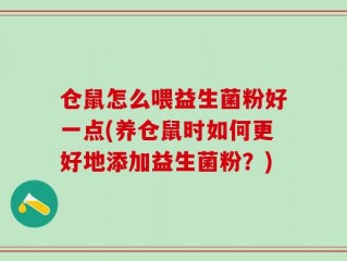 仓鼠怎么喂益生菌粉好一点(养仓鼠时如何更好地添加益生菌粉？)