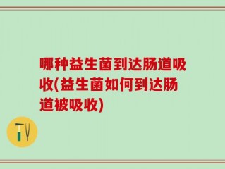 哪种益生菌到达肠道吸收(益生菌如何到达肠道被吸收)