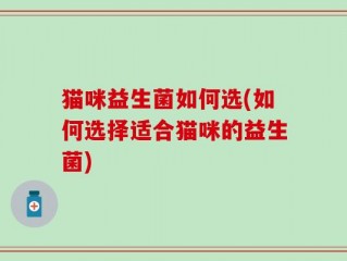 猫咪益生菌如何选(如何选择适合猫咪的益生菌)