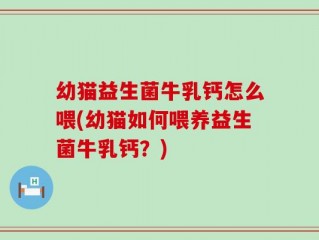幼猫益生菌牛乳钙怎么喂(幼猫如何喂养益生菌牛乳钙？)