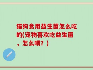 猫狗食用益生菌怎么吃的(宠物喜欢吃益生菌，怎么喂？)