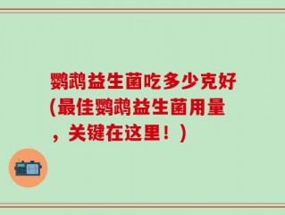 鹦鹉益生菌吃多少克好(最佳鹦鹉益生菌用量，关键在这里！)