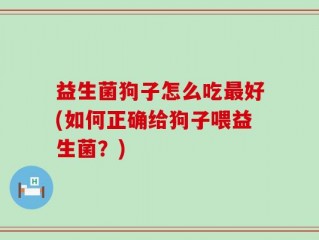 益生菌狗子怎么吃最好(如何正确给狗子喂益生菌？)