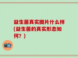 益生菌真实图片什么样(益生菌的真实形态如何？)