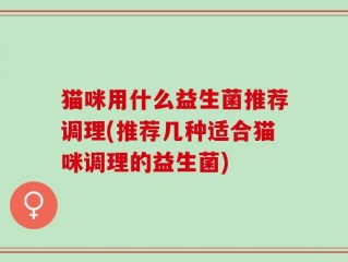 猫咪用什么益生菌推荐调理(推荐几种适合猫咪调理的益生菌)