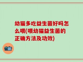 幼猫多吃益生菌好吗怎么喂(喂幼猫益生菌的正确方法及功效)