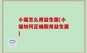小猫怎么用益生菌(小猫如何正确服用益生菌)