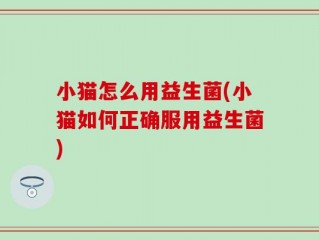 小猫怎么用益生菌(小猫如何正确服用益生菌)