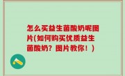 怎么买益生菌酸奶呢图片(如何购买优质益生菌酸奶？图片教你！)