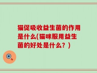 猫促吸收益生菌的作用是什么(猫咪服用益生菌的好处是什么？)