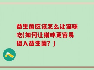 益生菌应该怎么让猫咪吃(如何让猫咪更容易摄入益生菌？)