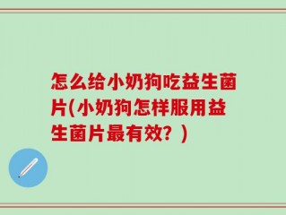 怎么给小奶狗吃益生菌片(小奶狗怎样服用益生菌片最有效？)