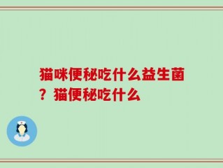 猫咪便秘吃什么益生菌？猫便秘吃什么