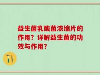 益生菌乳酸菌浓缩片的作用？详解益生菌的功效与作用？