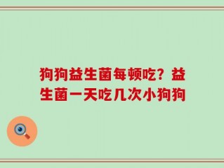 狗狗益生菌每顿吃？益生菌一天吃几次小狗狗