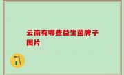 云南有哪些益生菌牌子图片