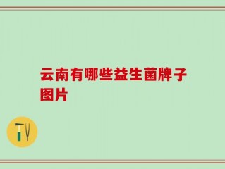 云南有哪些益生菌牌子图片