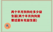 两个半月狗狗吃多少益生菌(两个半月狗狗需要适量补充益生菌)