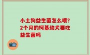 小土狗益生菌怎么喂？2个月的柯基幼犬要吃益生菌吗