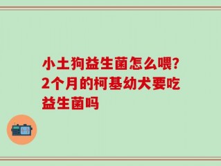 小土狗益生菌怎么喂？2个月的柯基幼犬要吃益生菌吗