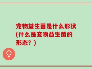 宠物益生菌是什么形状(什么是宠物益生菌的形态？)